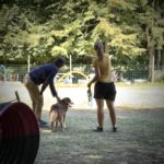 Stage Hoopers à Bellevue : une journée enrichissante pour chiens et maîtres !